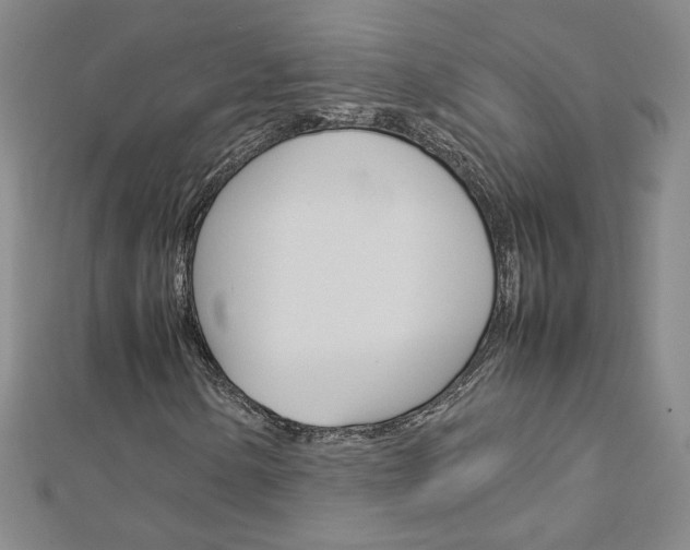 X0000113031154200908271049