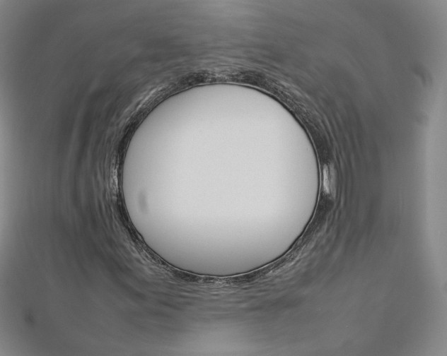 X0000113031155200908271049
