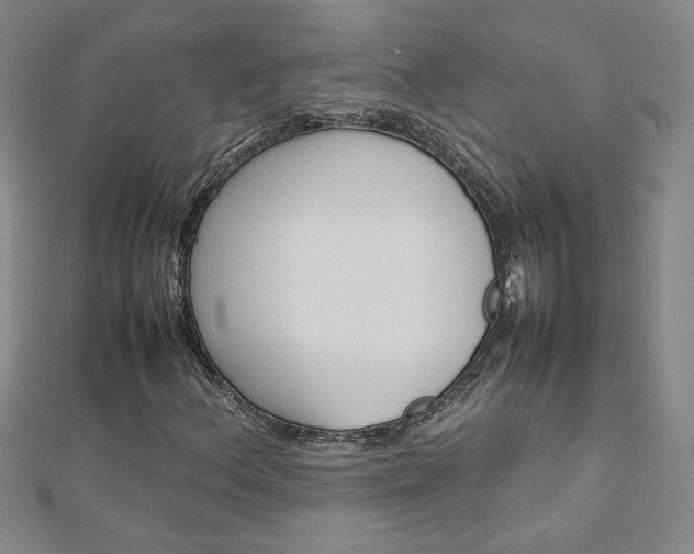 X0000113031156200908271049