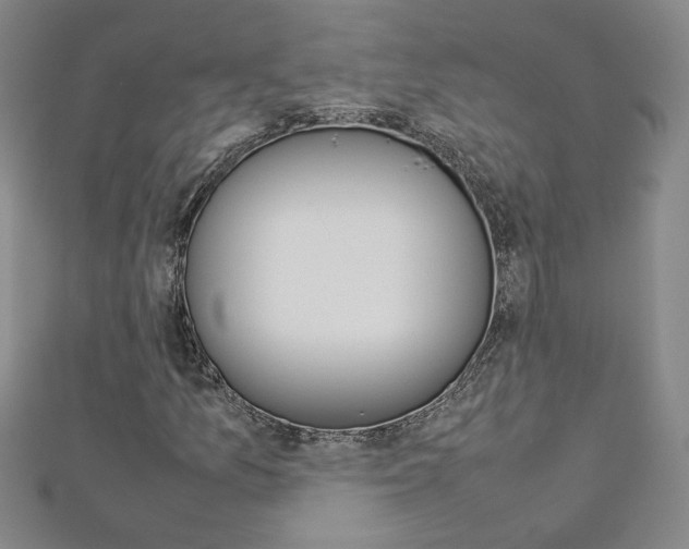 X0000113031157200908271049