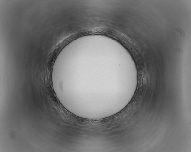 X0000113031158200908271049