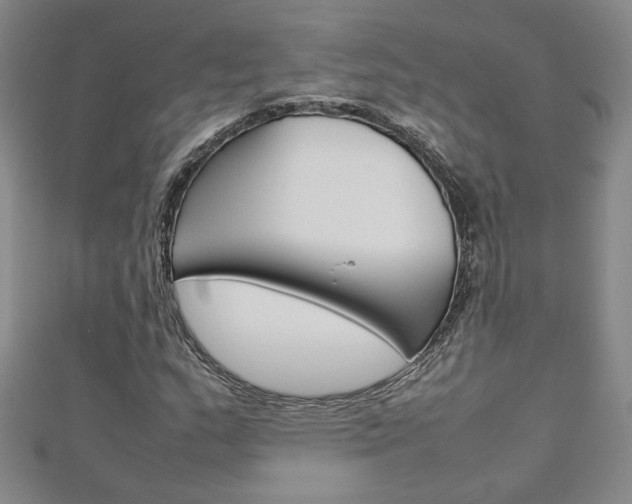 X0000113031159200908271049