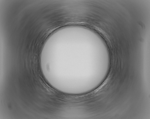 X0000113031161200908271049