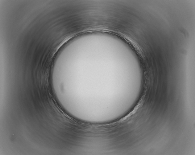 X0000113031162200908271049