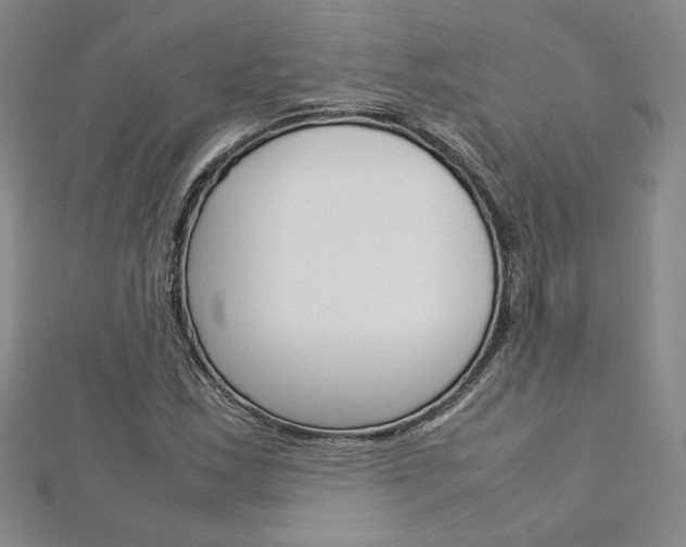 X0000113031163200908271049