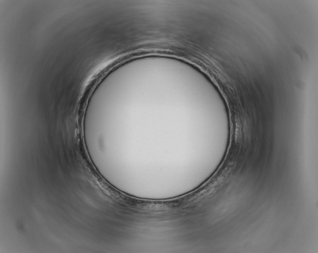 X0000113031164200908271049
