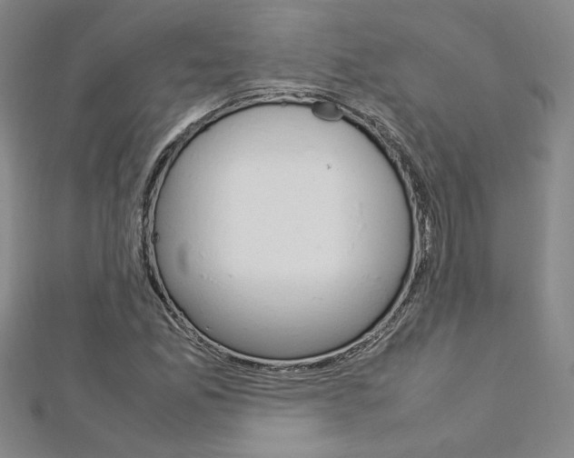 X0000113031165200908271048