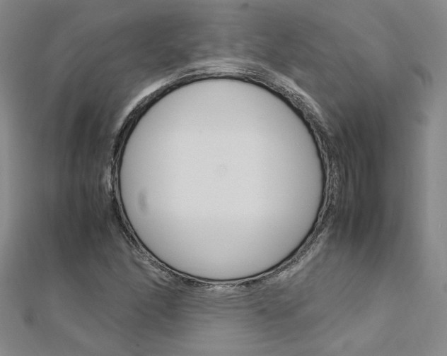 X0000113031166200908271048