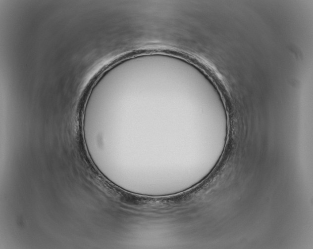 X0000113031167200908271048