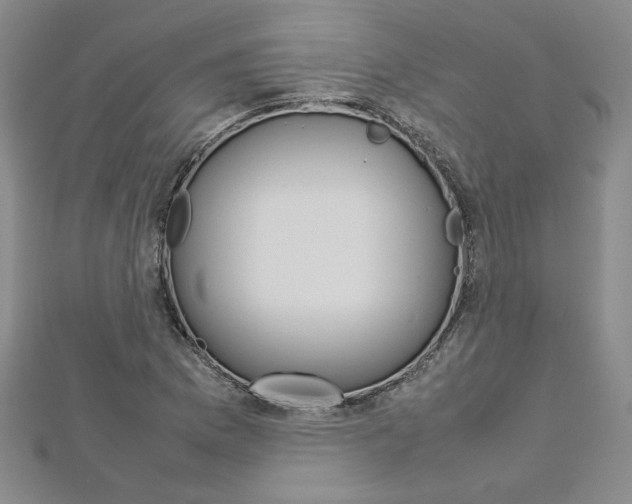 X0000113031169200908271048