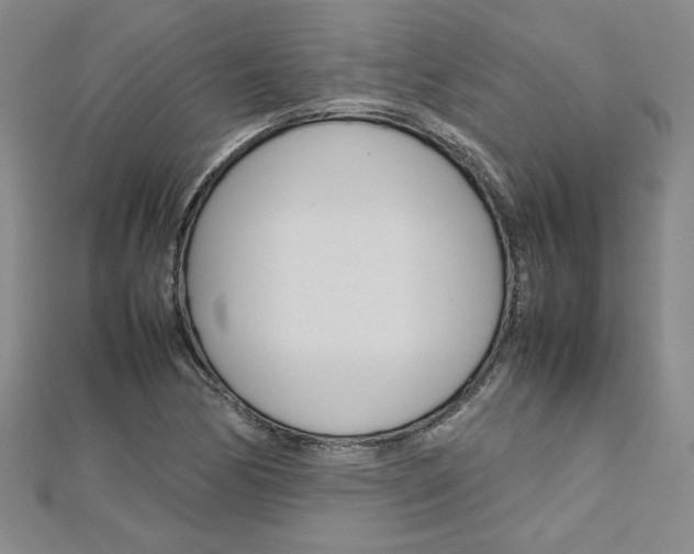 X0000113031170200908271048