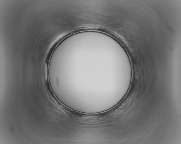 X0000113031171200908271048