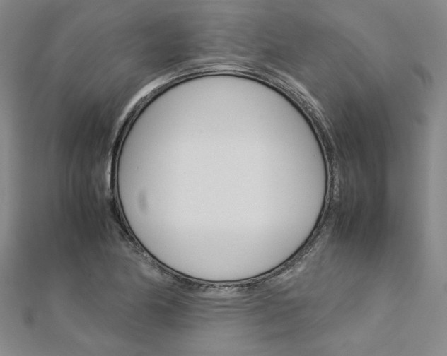 X0000113031174200908271048