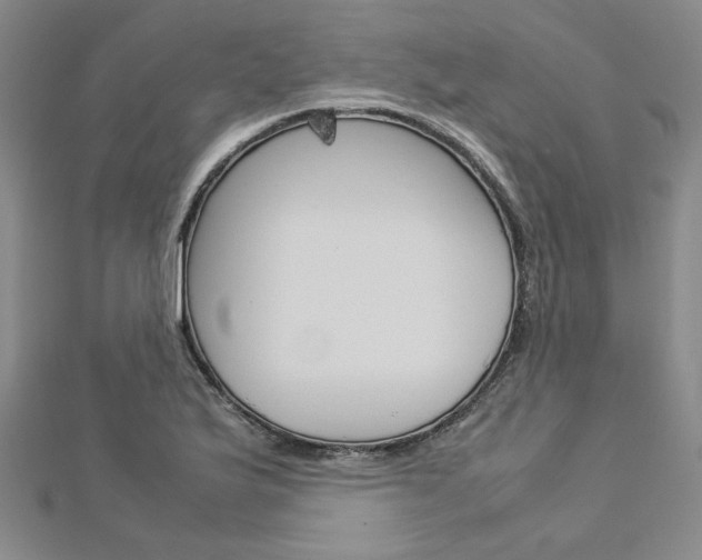 X0000113031175200908271048