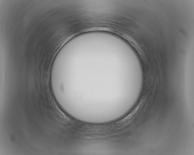 X0000113031177200908271048