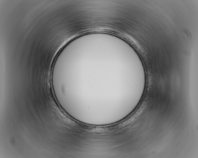 X0000113031178200908271048