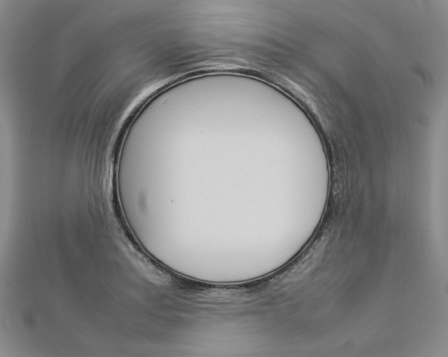 X0000113031179200908271048