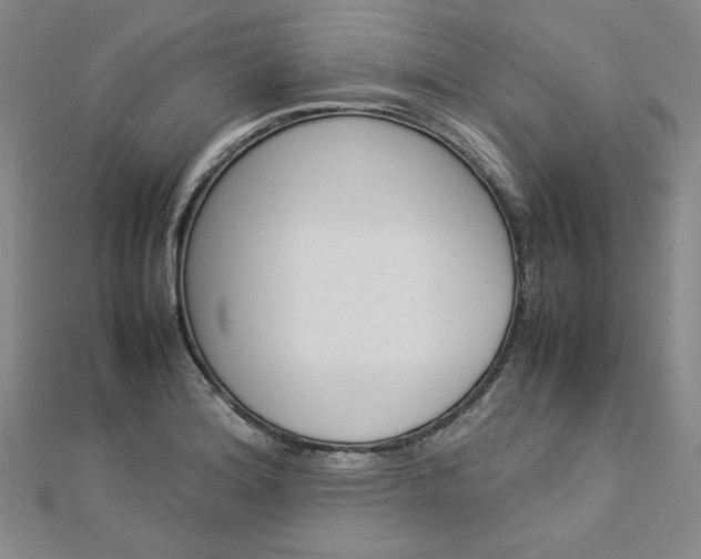 X0000113031180200908271048