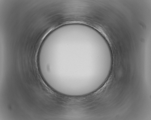 X0000113031181200908271048