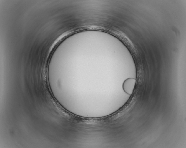 X0000113031182200908271048