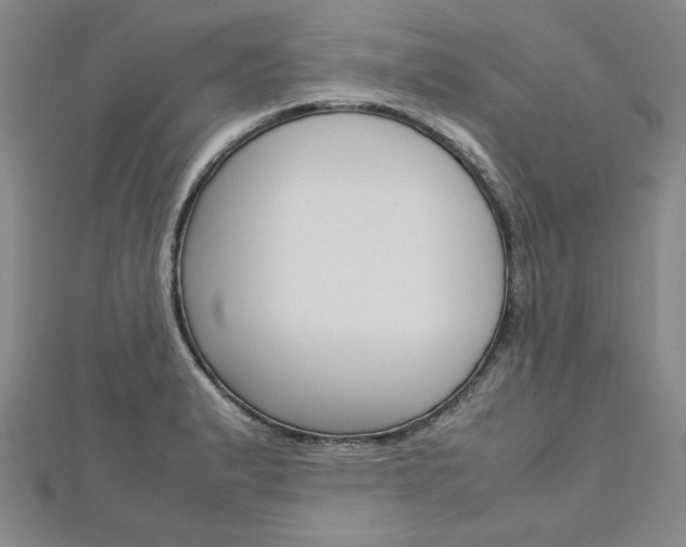 X0000113031183200908271048