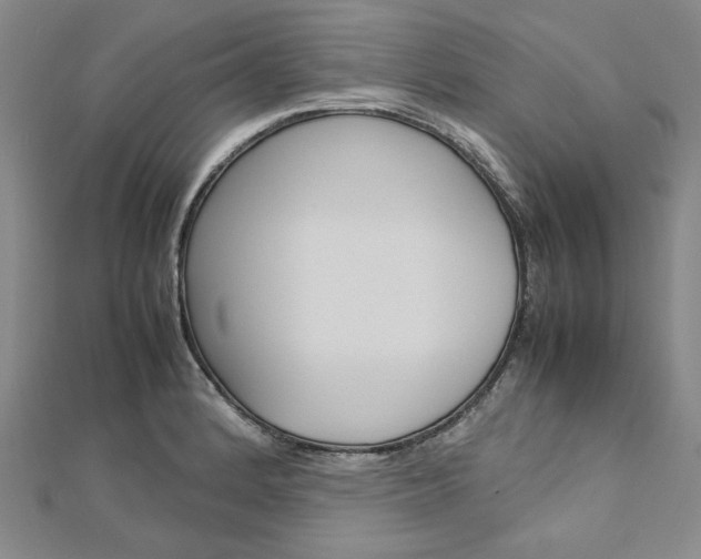 X0000113031184200908271048