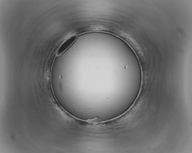 X0000113031185200908271048
