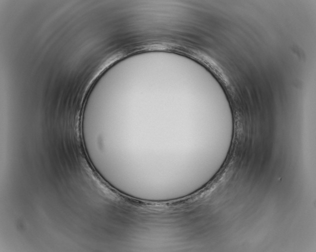 X0000113031186200908271048