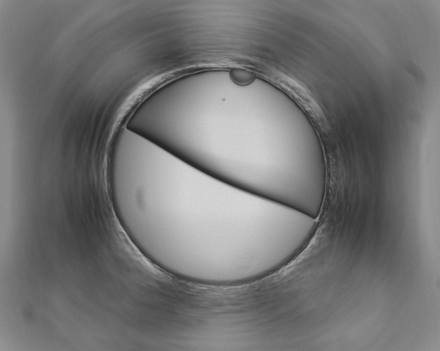 X0000113031188200908271048