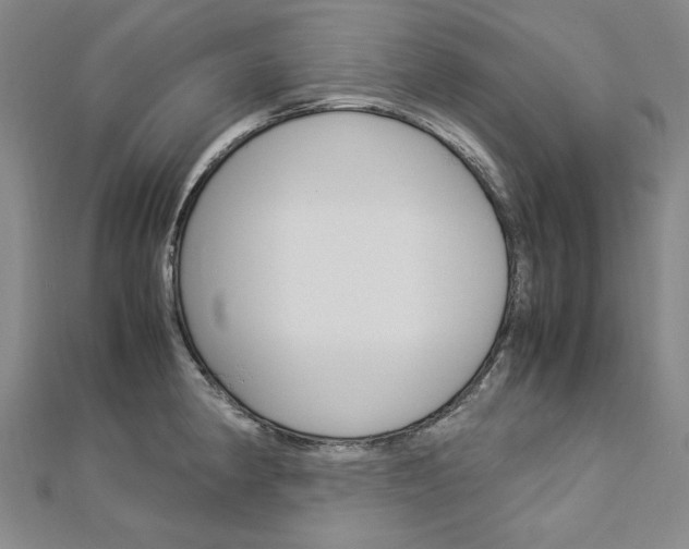 X0000113031190200908271048