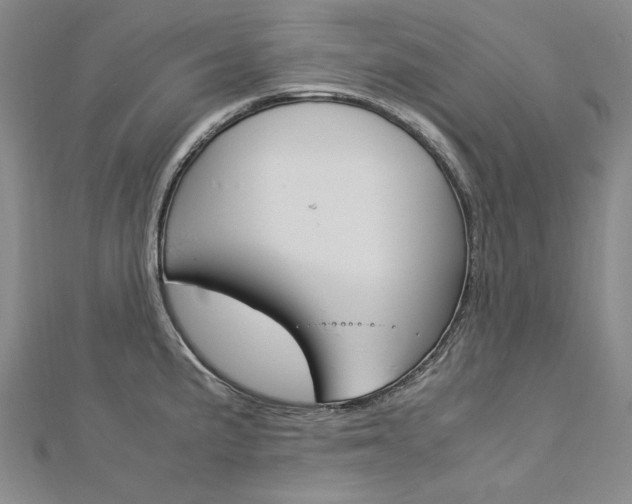 X0000113031191200908271048