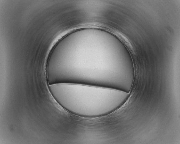X0000113031192200908271048