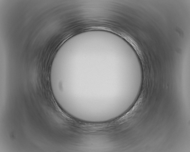 X0000113031193200908271048