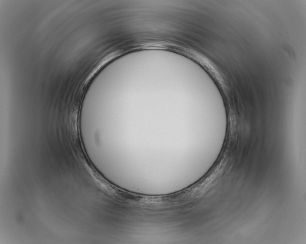 X0000113031194200908271048