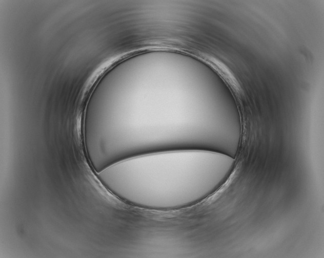 X0000113031196200908271048
