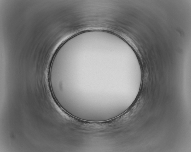 X0000113031197200908271048