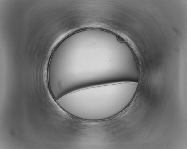 X0000113031199200908271048