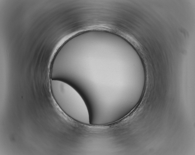 X0000113031200200908271048