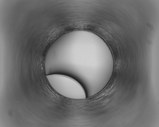 X0000113031202200908271047