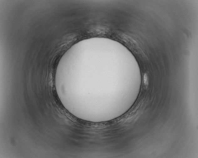 X0000113031203200908271047