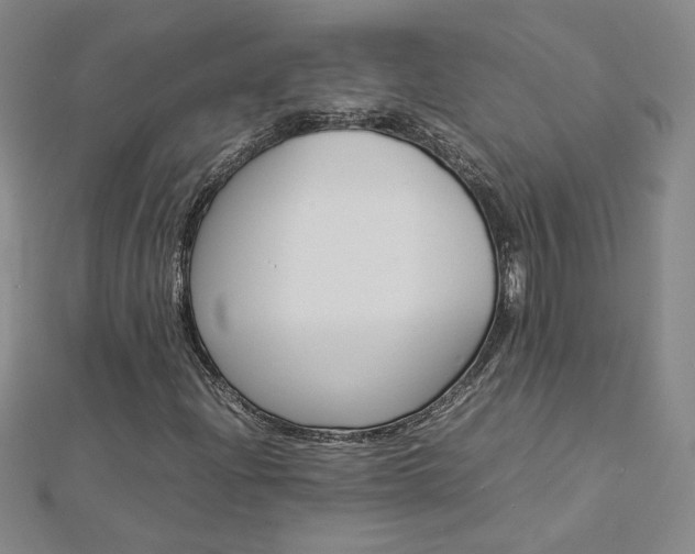 X0000113031204200908271047
