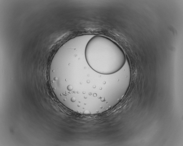 X0000113031205200908271047