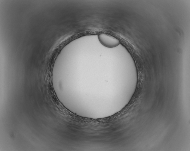 X0000113031207200908271047