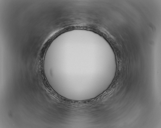 X0000113031208200908271047