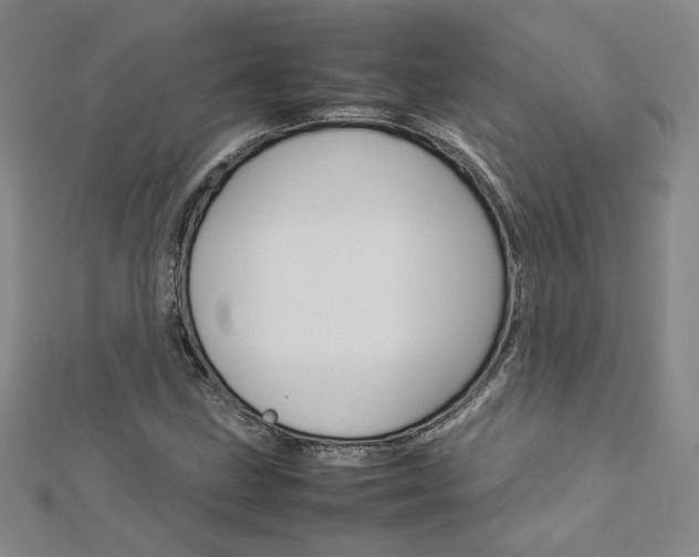 X0000113031211200908271047