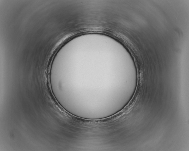 X0000113031212200908271047
