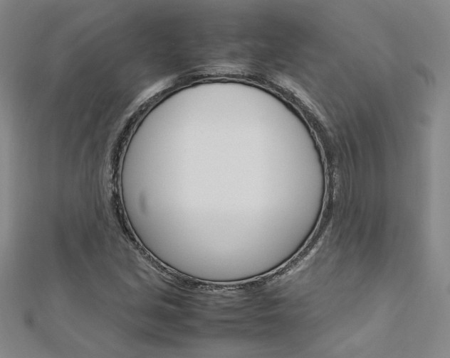 X0000113031213200908271047