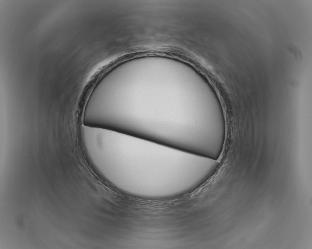 X0000113031214200908271047