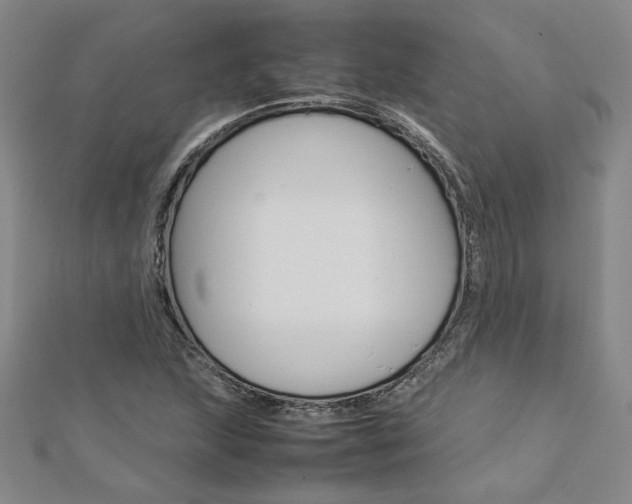 X0000113031215200908271047