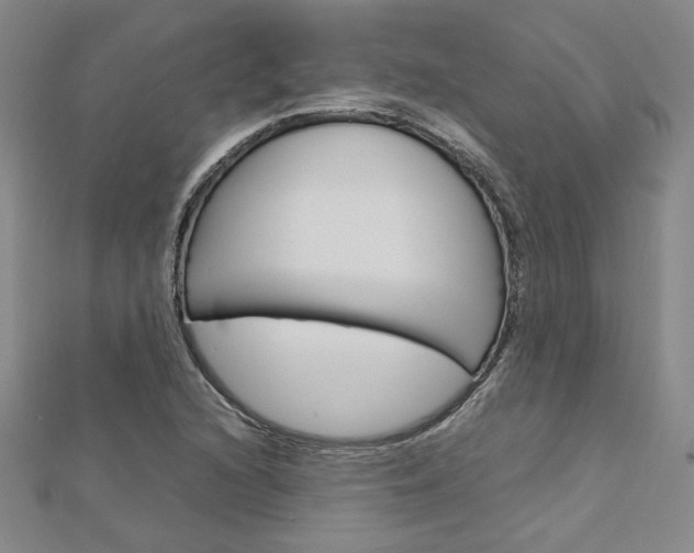 X0000113031216200908271048